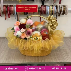 Giỏ Trái Cây Nhập Khẩu R105