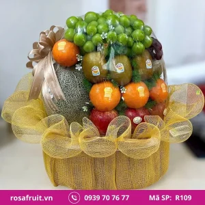 Giỏ Trái Cây Nhập Khẩu R109