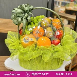 Giỏ Trái Cây Nhập Khẩu R118