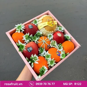 Hộp Trái Cây Nhập Khẩu R122