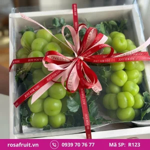 Hộp Trái Cây Nhập Khẩu R123