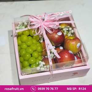 Hộp Trái Cây Nhập Khẩu R124