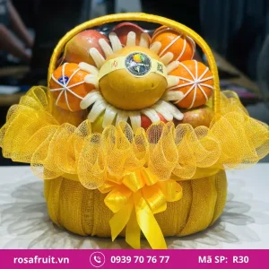 Giỏ trái cây nhập khẩu R30
