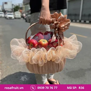 Giỏ trái cây nhập khẩu R36