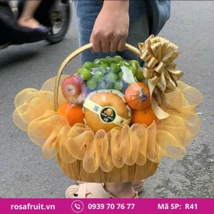 Giỏ trái cây nhập khẩu R41