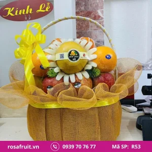 Giỏ trái cây nhập khẩu R53