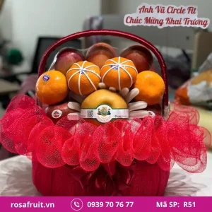 Giỏ trái cây nhập khẩu R51