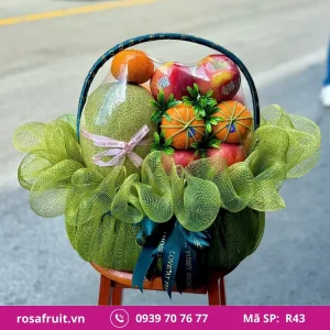 Giỏ trái cây nhập khẩu R43