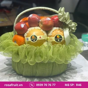 Giỏ trái cây nhập khẩu R46