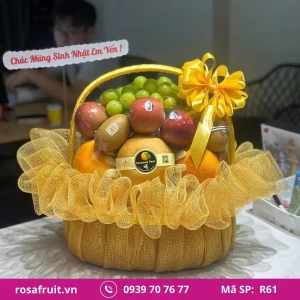 Giỏ trái cây nhập khẩu R56