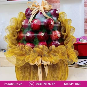 Giỏ trái cây nhập khẩu R63