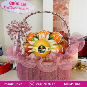 Giỏ trái cây nhập khẩu R66