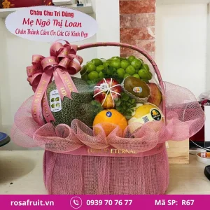 Giỏ trái cây nhập khẩu R67