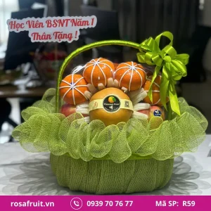 Giỏ trái cây nhập khẩu R59
