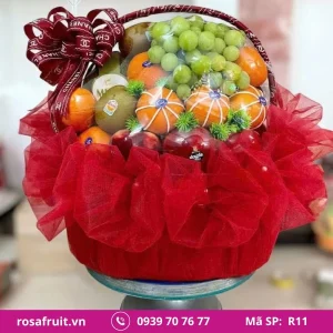 Giỏ trái cây nhập khẩu R11
