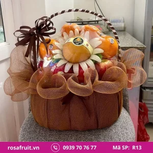 Giỏ trái cây nhập khẩu R13