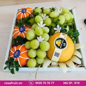 Hộp trái cây nhập khẩu R19