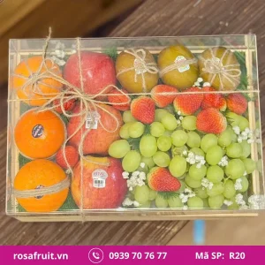Hộp trái cây nhập khẩu R20