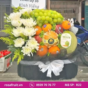 Giỏ trái cây nhập khẩu R22