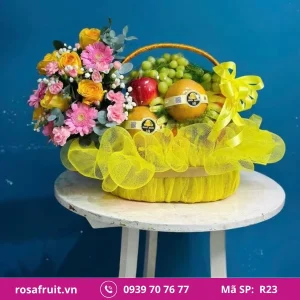 Giỏ trái cây nhập khẩu R23