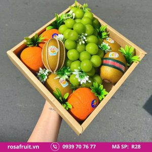 Khay trái cây nhập khẩu R28