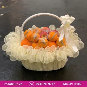 Giỏ Trái Cây Nhập Khẩu R102