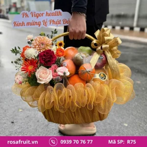 Giỏ trái cây nhập khẩu R75