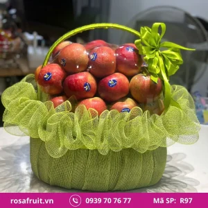 Giỏ Trái Cây Nhập Khẩu R97