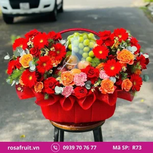 Giỏ trái cây nhập khẩu R73