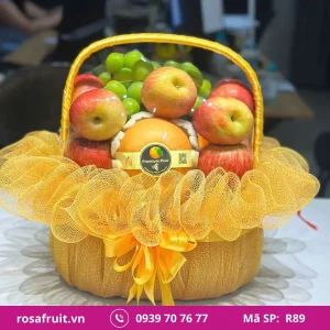 Giỏ Trái Cây Nhập Khẩu R89
