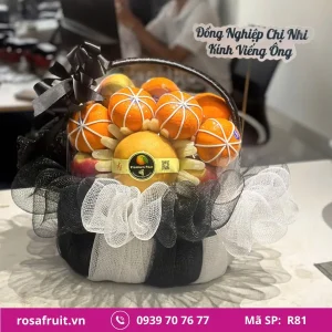 Giỏ trái cây nhập khẩu R69