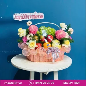 Giỏ trái cây nhập khẩu R69