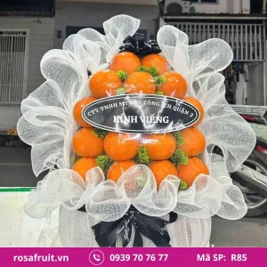 Giỏ trái cây nhập khẩu R74