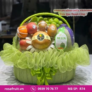 Giỏ trái cây nhập khẩu R74